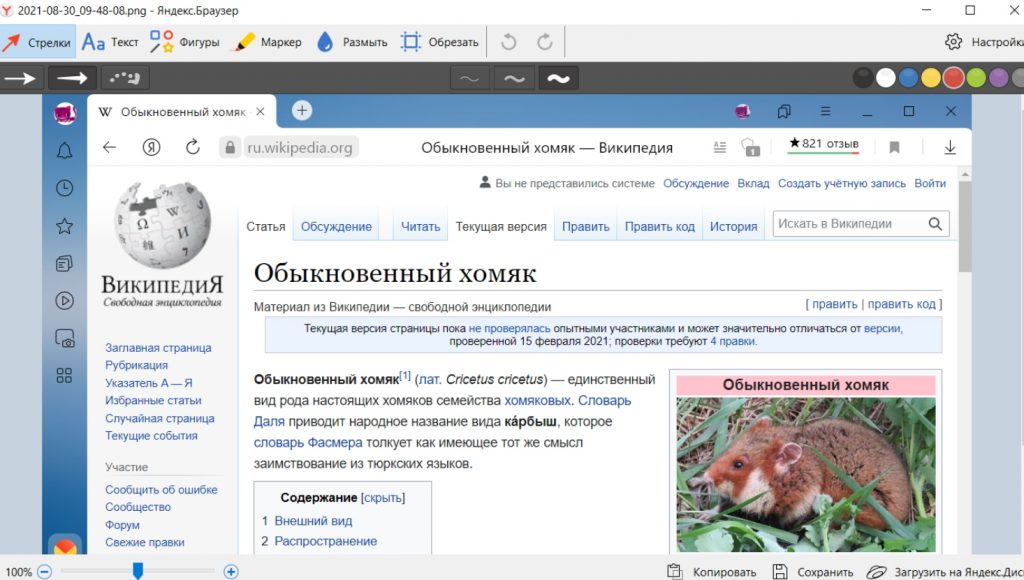 Яндекс Скриншот обзор возможностей