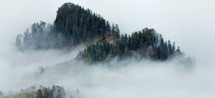 Туман: Загадочная и Важная Феноменология Атмосферы